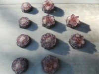 /album/galeria/grupo-orgonitas-naranjas-copos-y-flores-jpg/